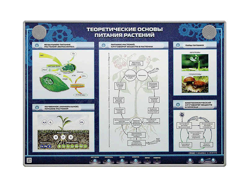 Электрифицированный стенд "Теоретические основы питания растений"