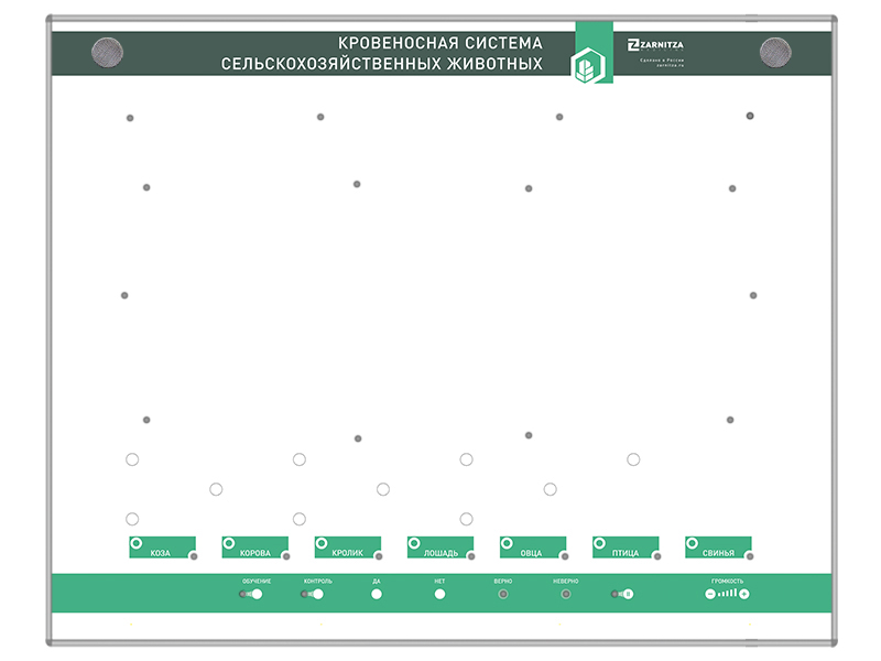 Электрифицированный стенд "Кровеносная система сельскохозяйственных животных" со сменными фолиями